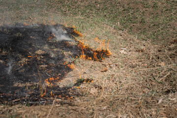 Ignition of dry grass is in the field. Fire by negligence