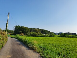 Fototapeta na wymiar Beautiful rural scenes of Korea