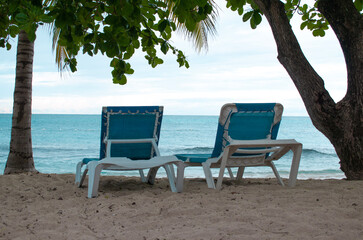 lounge chairs on the beach