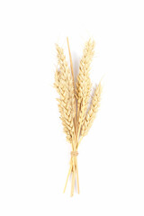 Fototapeta premium Ripe ears of wheat isolated on white background. Top view