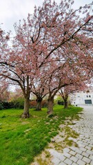 Obraz premium REIMS (Marne)