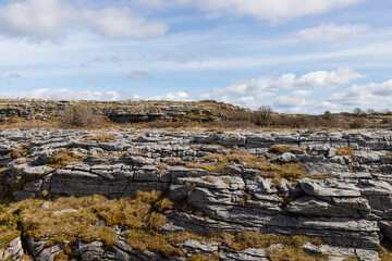 The Burren, landscape in County Clare, on the west coast of Ireland - obrazy, fototapety, plakaty