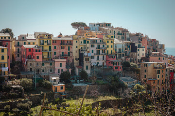 Fototapeta na wymiar The beautiful fishing village of Corniglia in the famous Cinque Terre, Italy