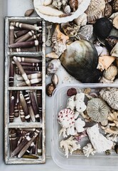 Seashells background. Variety of different shapes seashells and fishing lures. Flea market...