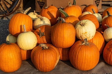 pile of pumpkins