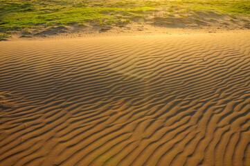 Dune landscape, La Pampa , Argentina