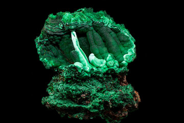 Grupa stalaktytów malachitowych
