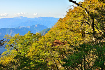 丹沢の石棚山稜　紅葉の山地に箱根山
丹沢　ヤブ沢ノ頭より奥左から明神ヶ岳（明神岳）、駒ヶ岳、神山（箱根山）、金時山、長尾山、丸岳、中央奥が矢倉岳、手前が大野山
