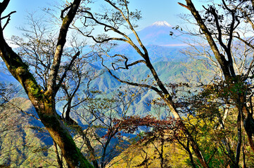 丹沢の石棚山稜　ヤブ沢ノ頭より富士山を望む

