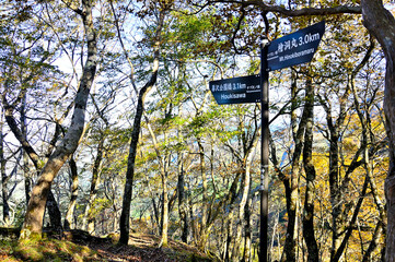 丹沢の石棚山稜　ヤブ沢ノ頭の山頂
