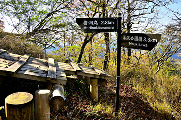 丹沢の石棚山　石棚山稜の登山道　玄倉分岐
