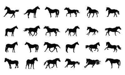 Fototapeta premium Collection of horses silhouettes set on white background
