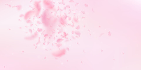 Sakura petals falling down. Romantic pink flowers explosion. Flying petals on pink wide background. Love, romance concept. Marvelous wedding invitation.