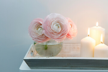 Three pale pink ranunculus in a transparent round vase and candles on the white windowsill. Copy...
