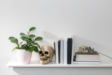 Peperomia magnoliifolia in a pink plastic pot, a stack of books is on the bookshelf. Interior of a...