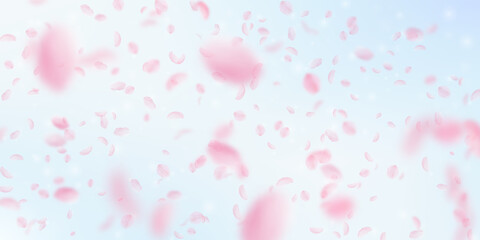 Sakura petals falling down. Romantic pink flowers falling rain. Flying petals on blue sky wide background. Love, romance concept. Likable wedding invitation.