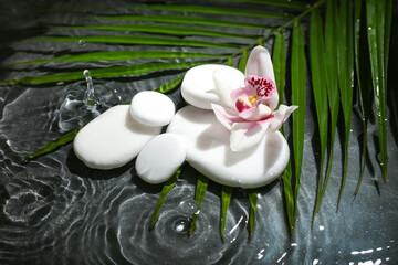 Spa stones with orchid flower and tropical leaf in water