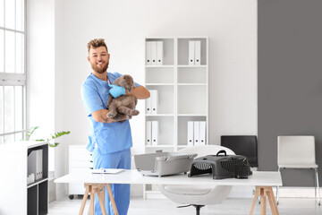 Male veterinarian with Scottish fold cat in clinic