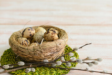 Naklejka na ściany i meble Nest with fresh quail eggs and pussy willow branches on white wooden background