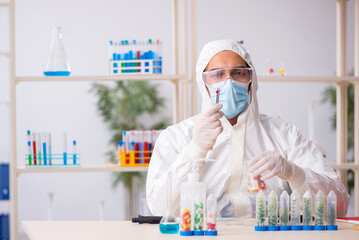 Young male chemist in drugs synthesis concept