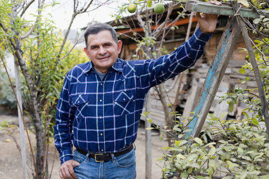 Portrait of Hispanic man smiling in the patio of his house - Latin man in the garden
