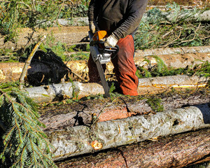 Logger chainsaw logs 