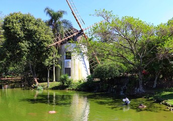 The natural beauties found in the Moinhos de Vento park in Porto Alegre, Rio Grande do Sul.	