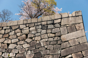 Stone wall of Osaka castle in spring