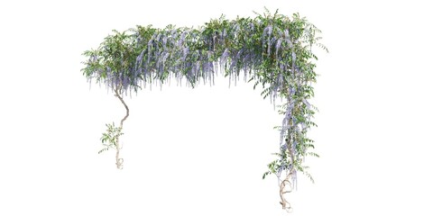 Climbing plants creepers isolated on white background 3d illustration © vik173