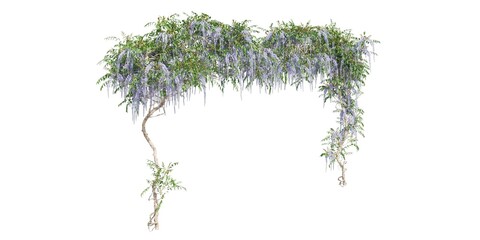 Climbing plants creepers isolated on white background 3d illustration © vik173