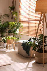 Fototapeta na wymiar Cozy room interior with stylish furniture and beautiful houseplants near window