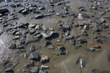 close up Seaside beach with pebbles.