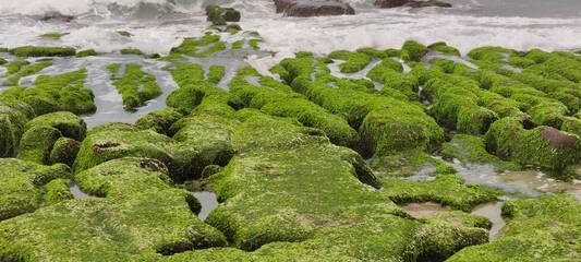 Laomei Green Stone Trough is located in Shimen District on the North Coast, Every April and May