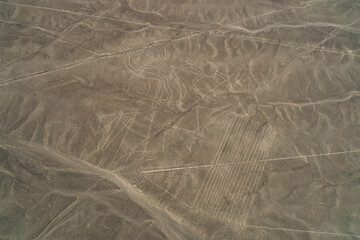 The image of a monkey in the Nazca lines