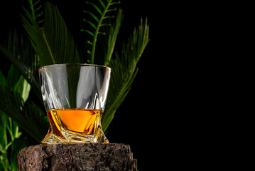 Wisky glass on wooden log on black background. Wisky glass without ice on tropical background.