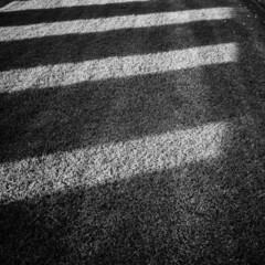 Fototapeta premium Grass lawn