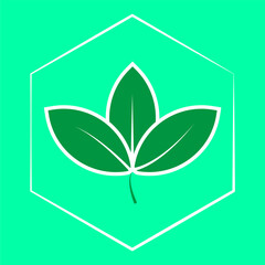 Eco icon with leaf. Ecological icon with leaf and hexagon with the concept of caring for the environment. Eco icon vector isolated from background.