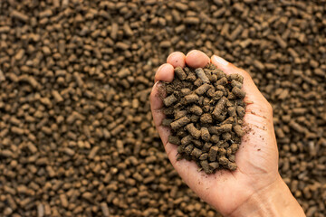 Lots of manure or pellets in the hands of a farmer.