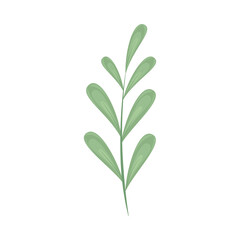 nature foliage branch