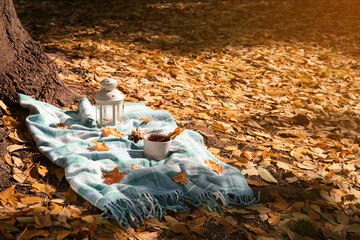 Plaid with cup of tea, cinnamon and lantern near tree in park on sunny autumn day. Space for text