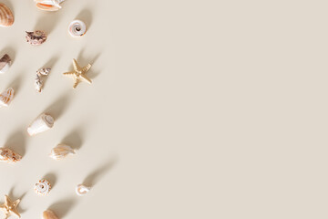 Seashells and starfish with long shadows on beige background. Summer concept. Nautical pattern...
