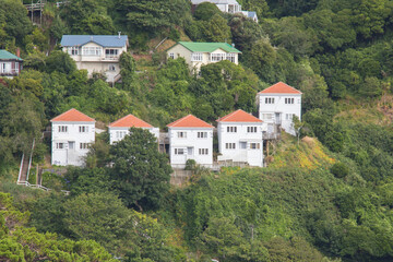 Fototapeta na wymiar Rural houses on a green hill, Wellington, New Zealand.