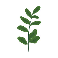 Fototapeta na wymiar nature plant icon
