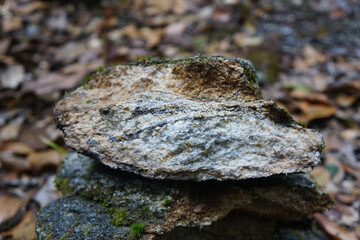 Sample a piece of raw biotite genesis rock stone on a nature background.