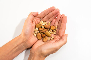 hands holding seeds for planting at home, blossom, mother earth, earth day concept