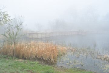 impressions of a pond