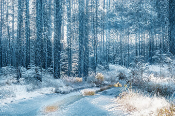 Fototapety na wymiar - Fototapeta24.pl