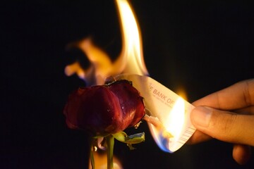 Burn the love and money