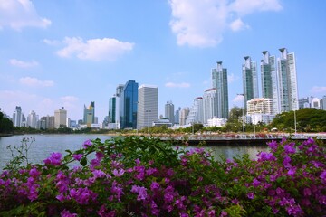 Naklejka premium Clouds in the sky at a park in Thailand