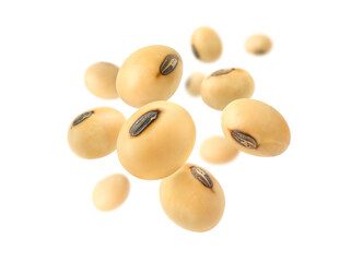 Soybeans levitate isolated on a white background. - obrazy, fototapety, plakaty